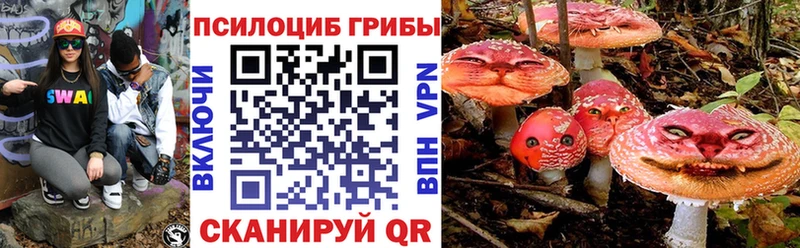 Галлюциногенные грибы ЛСД где найти наркотики Карачев